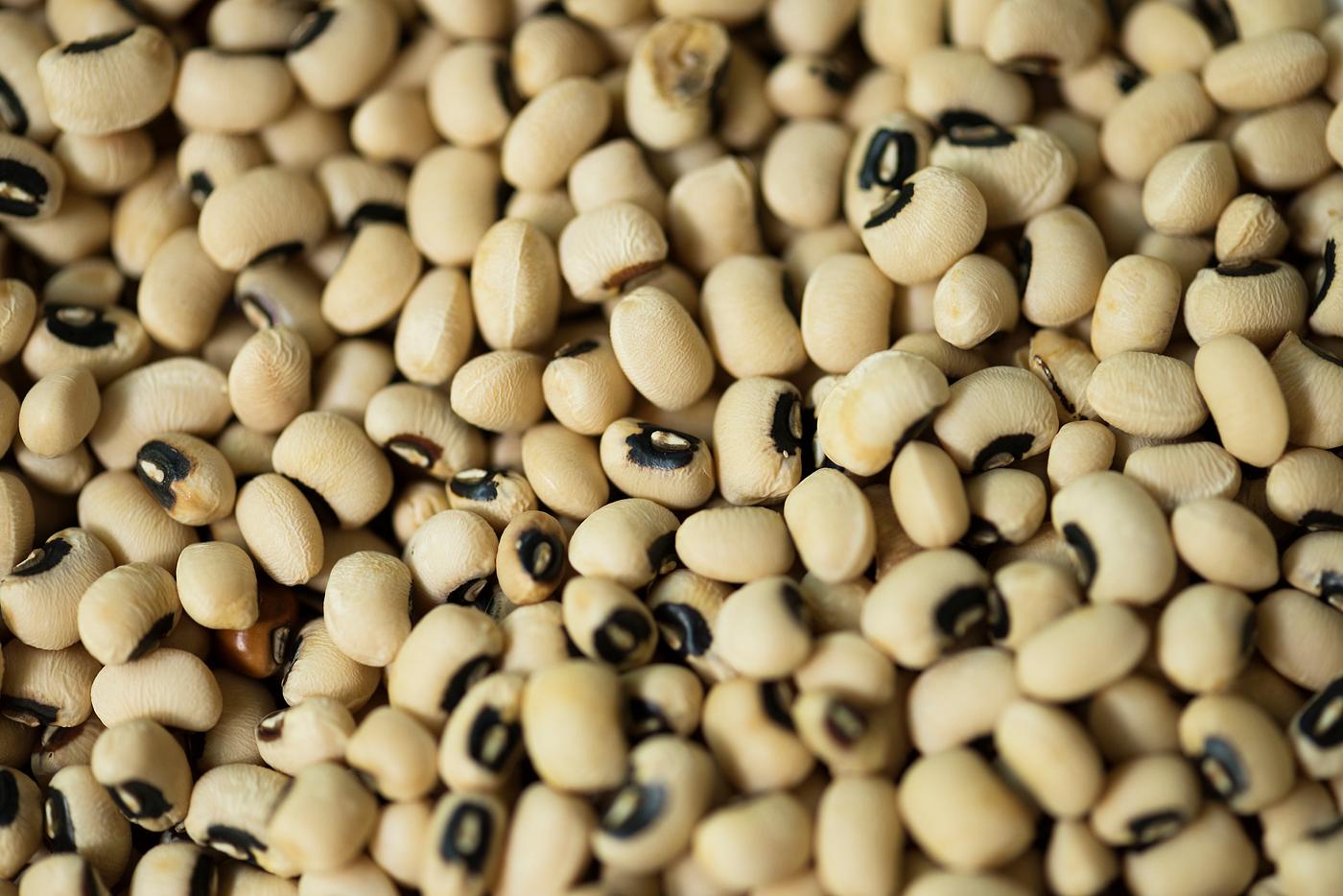 macro, healthy, background, beans, closeup, food, free, legumes, lentils, natural, nature, nutrients, nutrition, organic,...