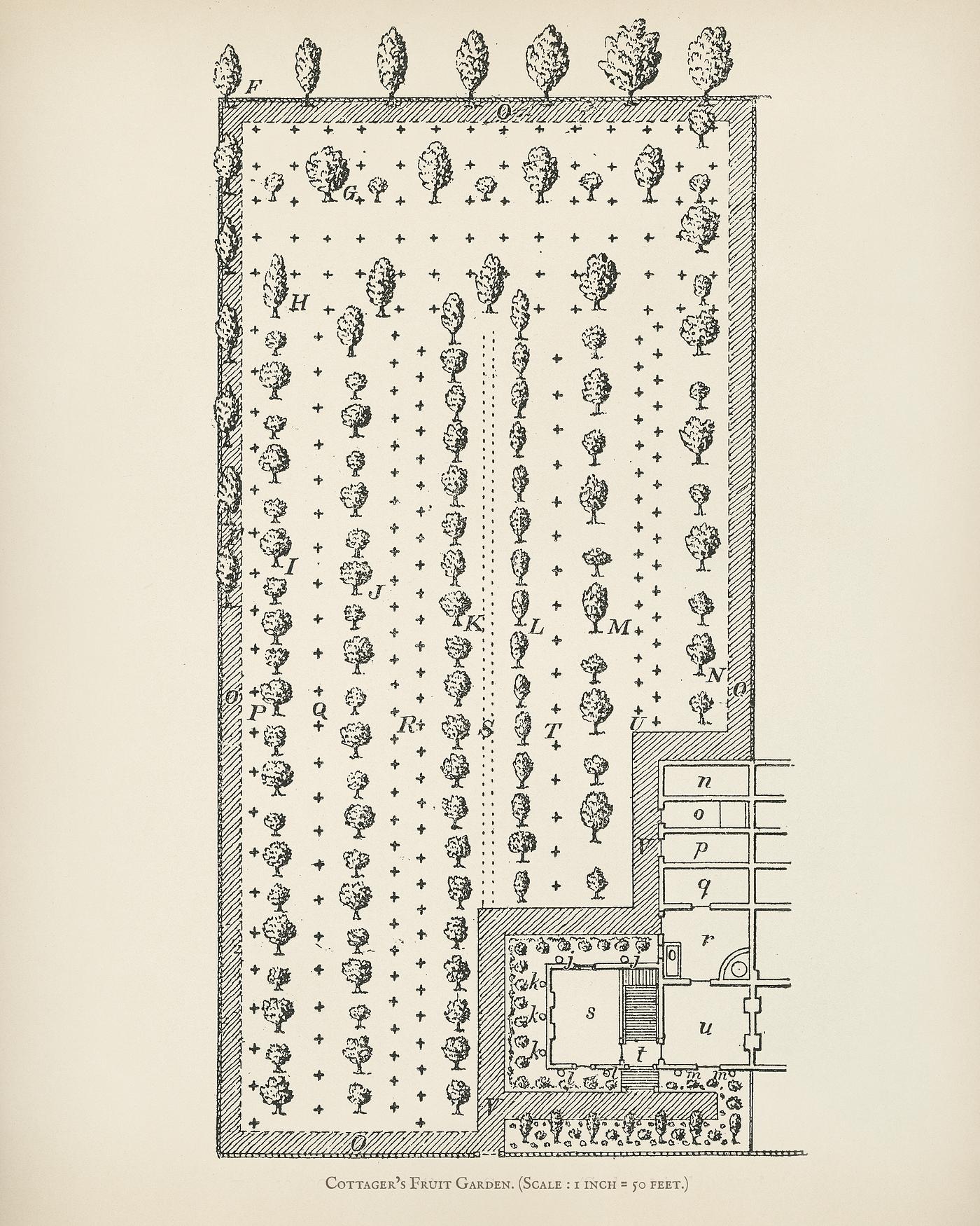 The fruit grower's guide : Vintage illustration of cottage's fruit garden The fruit grower's guide : Vintage illustration of cottage's fruit garden