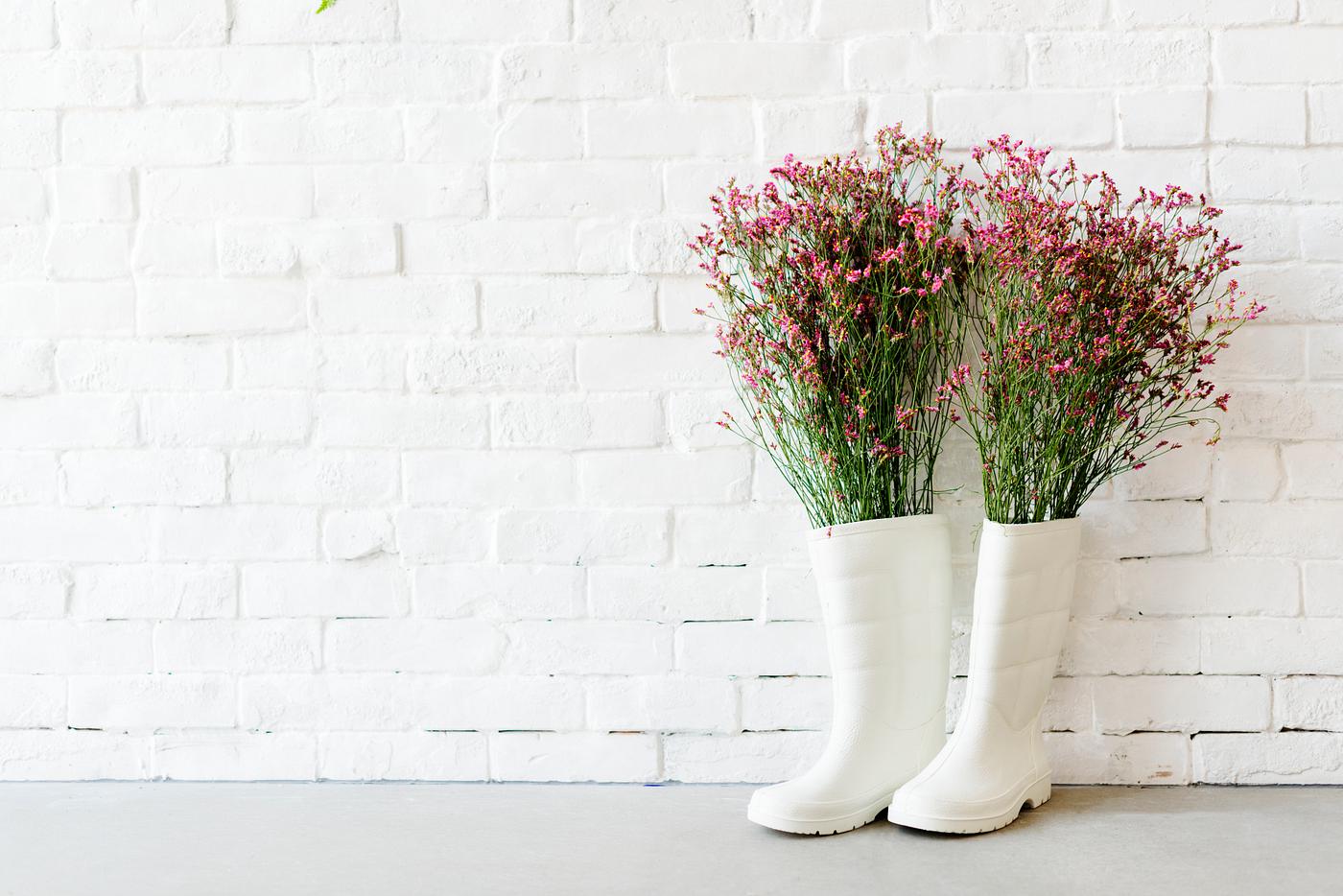 spring, flower, gardening, rain, wall, boot, garden, unique, background, be creative, beautiful, beauty, black, bloom,...