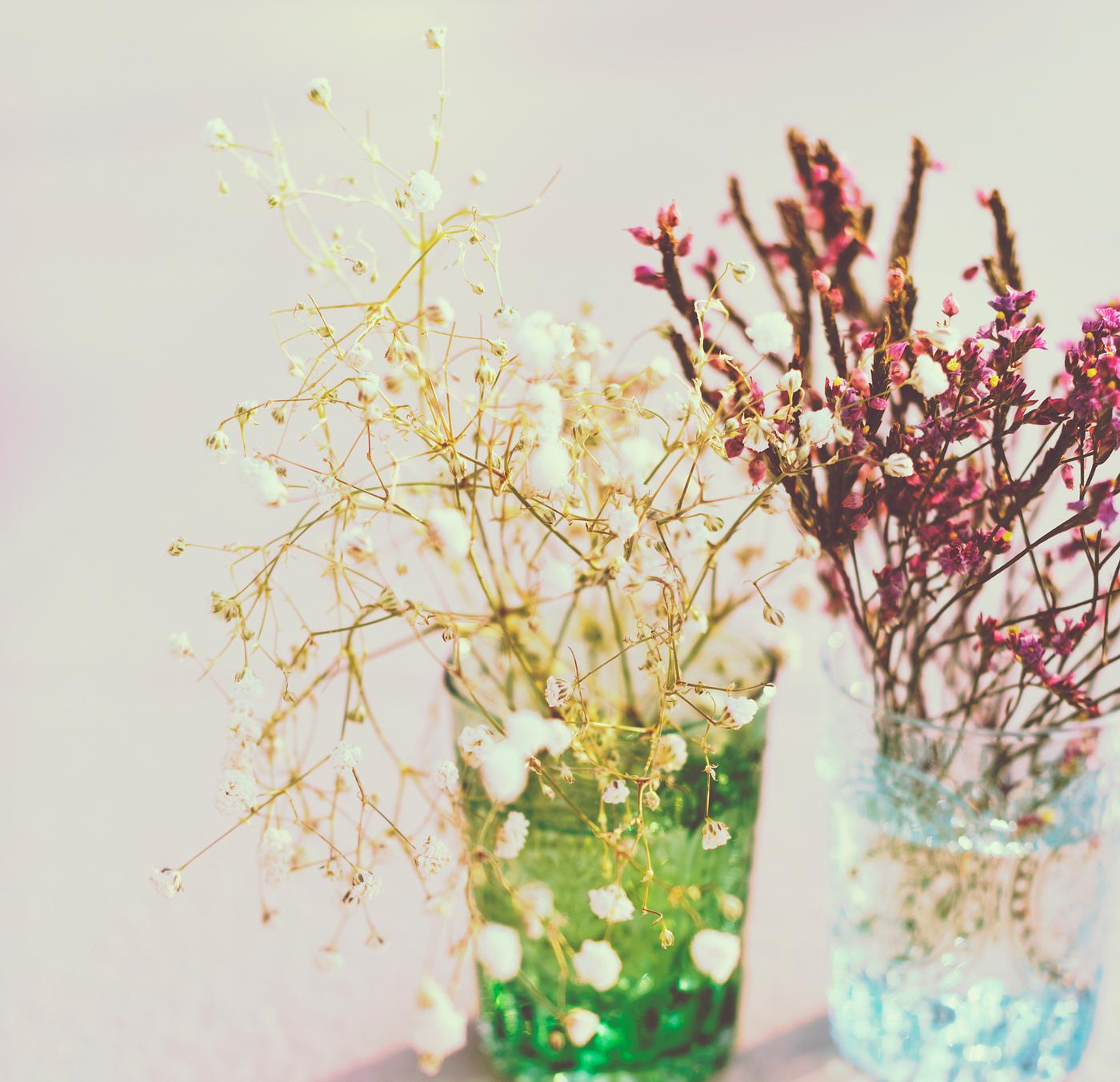 aroma, background, beautiful, celebration, environment, environmental, flower, fresh, garden, green, growing, herbs,... aroma, background, beautiful, celebration, environment, environmental, flower, fresh, garden, green, growing, herbs,...
