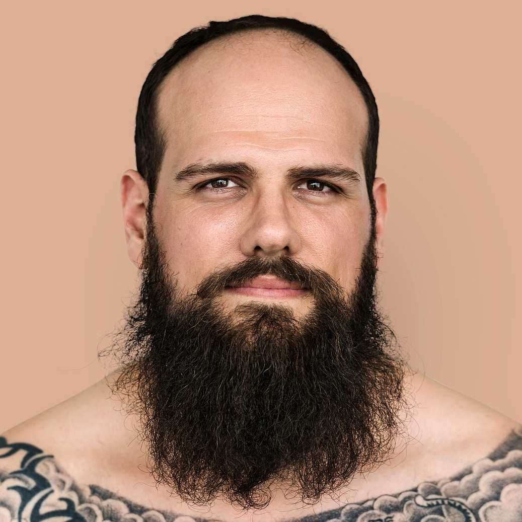 Portrait of an American man Portrait of an American man - america, american, art, bald, beard, closeup, emotion, expression, face, guy, man, person…