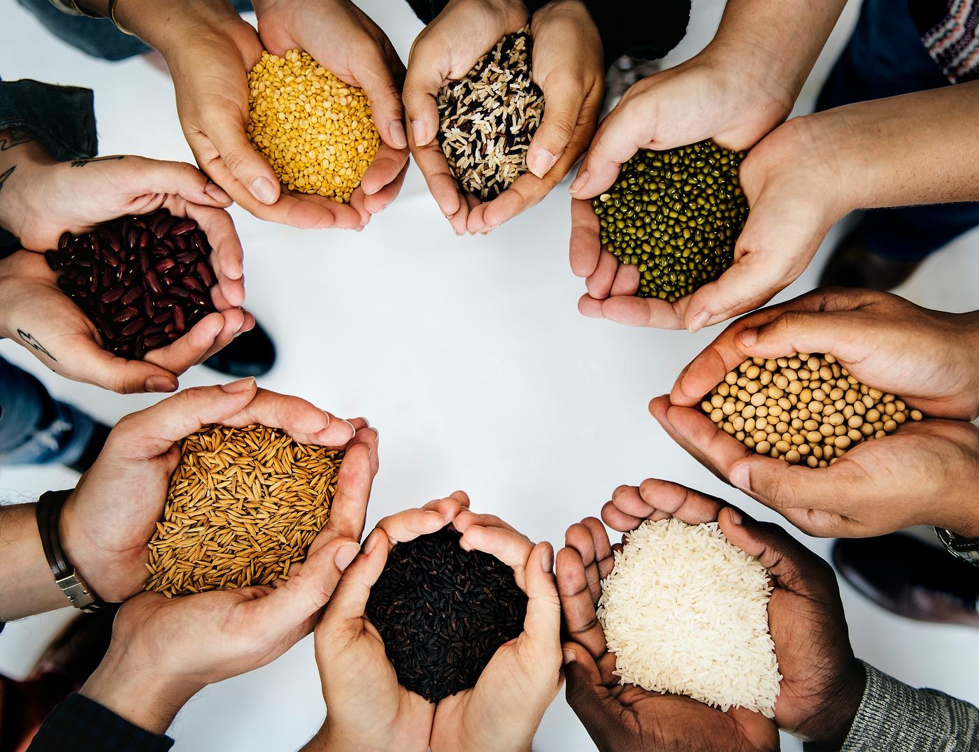millet, arm, barley, brown rice, community, diversity, emmer, food, green beans, hands, healthy, ingredient, man, men,... millet, arm, barley, brown rice, community, diversity, emmer, food, green beans, hands, healthy, ingredient, man, men,...