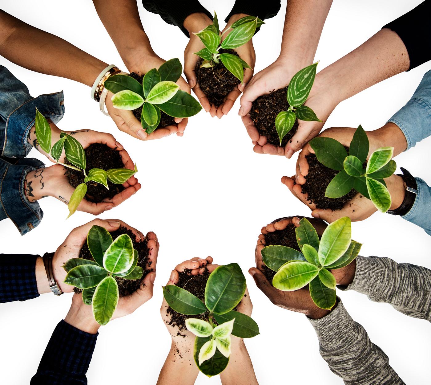 Diverse people holding plants in their hands Diverse people holding plants in their hands