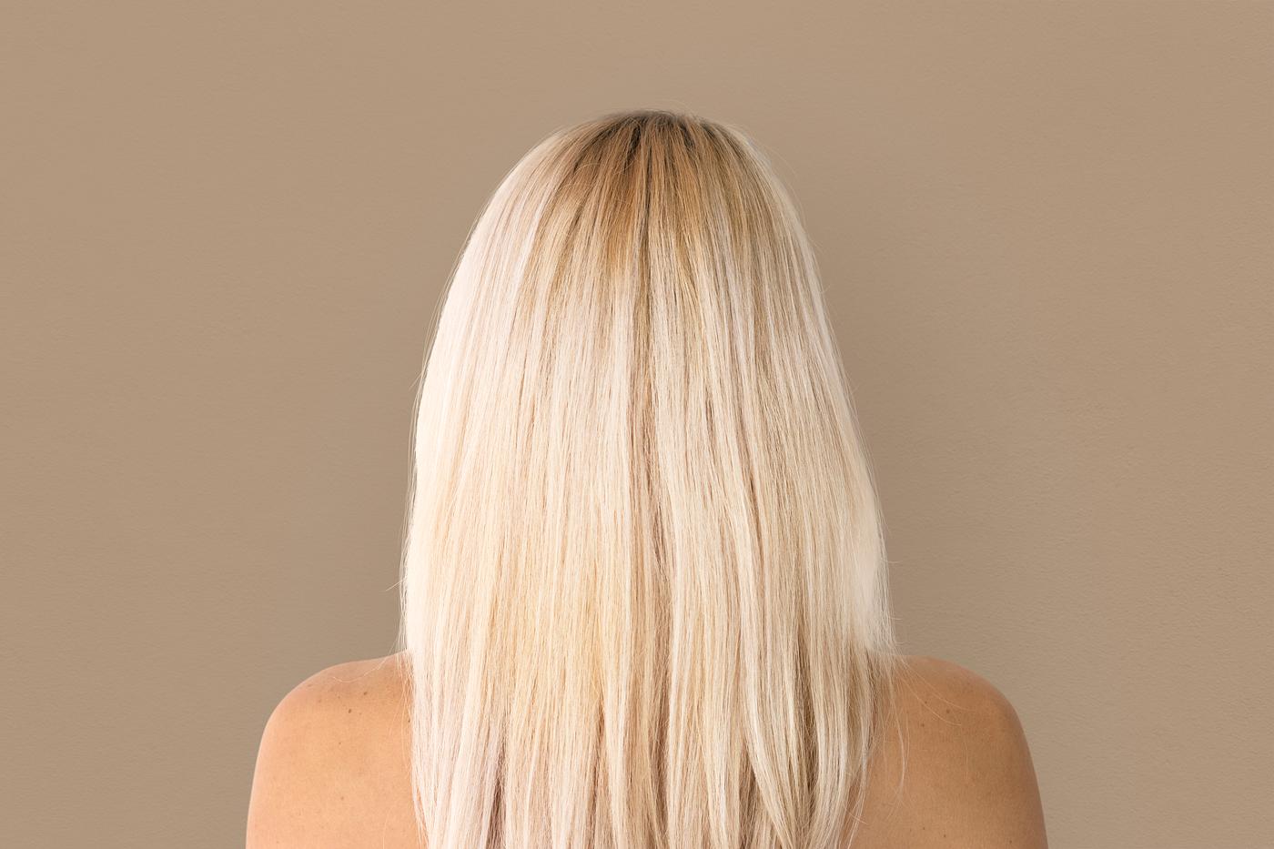 Long Blonde Hair Royalty Free Stock Photo 219898