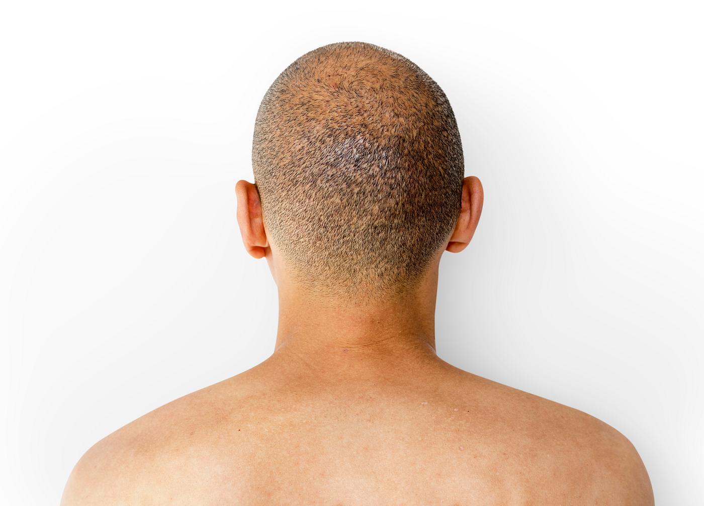 studio, model, person, people, race, solo, style, casual, lifestyle, back view, man, isolated, guy, male, gesture, skinhead... studio, model, person, people, race, solo, style, casual, lifestyle, back view, man, isolated, guy, male, gesture, skinhead...