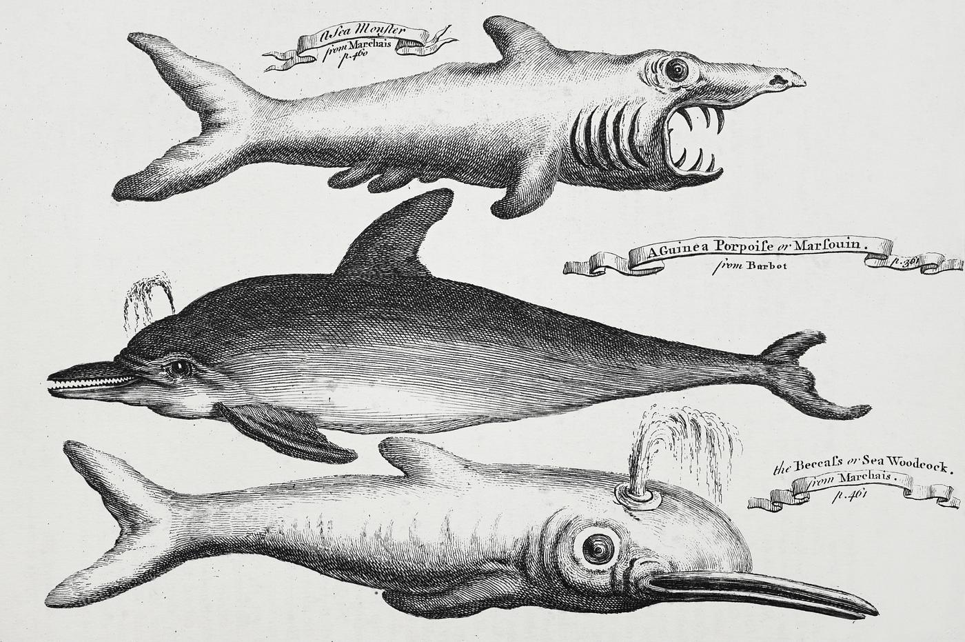 Vintage Illustration of fishes published in 1745-1747 by Thomas Astley. Original from New York public library. Digitally... Vintage Illustration of fishes published in 1745-1747 by Thomas Astley. Original from New York public library. Digitally...