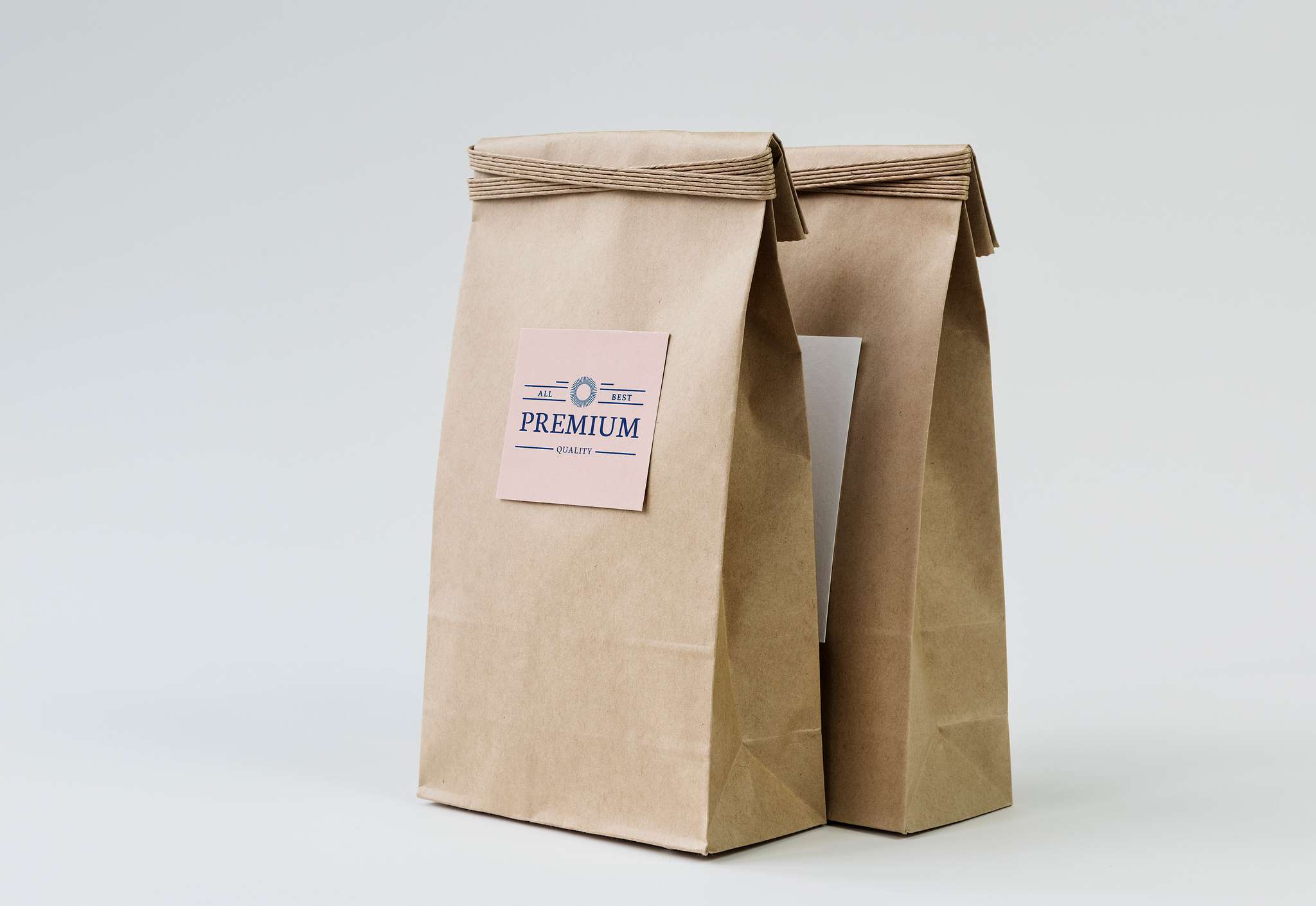 Download Paper bag mockup - ID: 295608