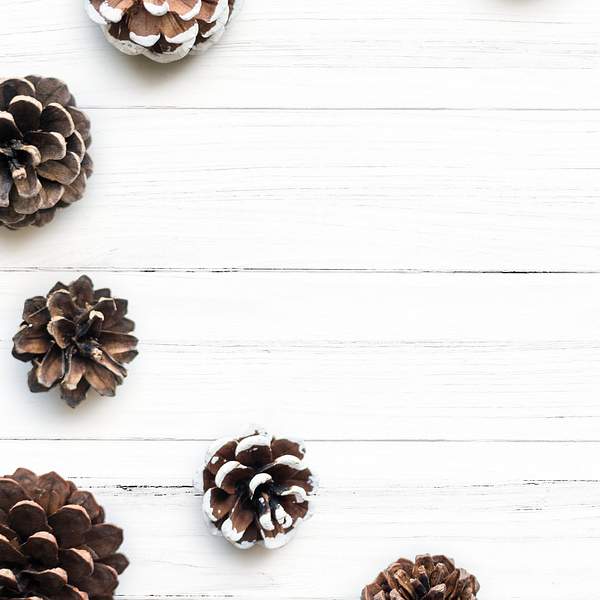 Download Blank space with pine cones mockup | Free psd mockup - 516246