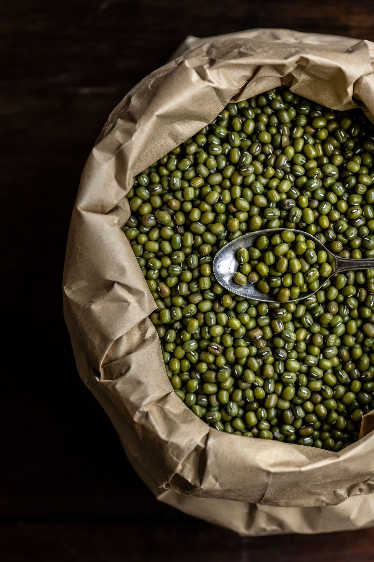 Review of related literature of mung bean Review of related literature of mung bean image