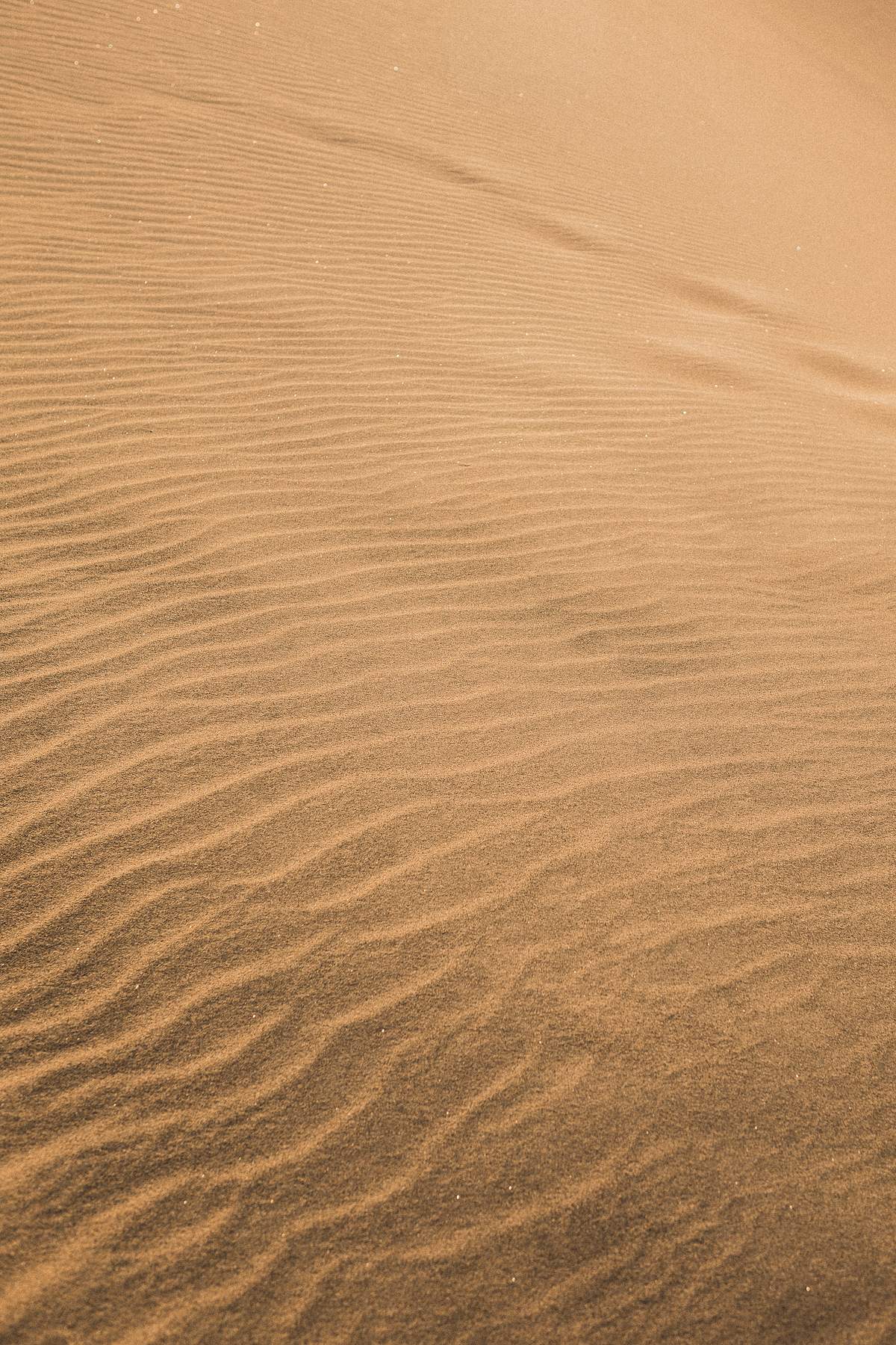 Desert Sand Patterns