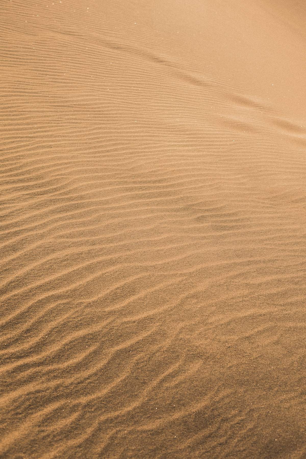 Desert Sand Patterns Desert Sand Patterns