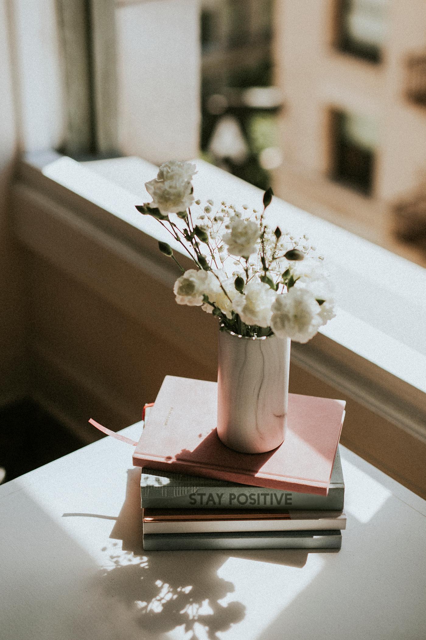 White carnations in a white marble vase by a window