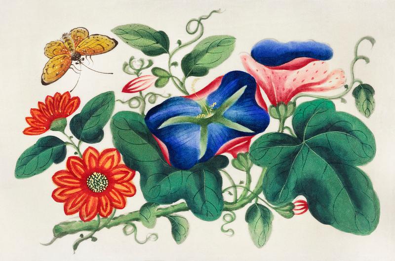 Chinese painting featuring flowers and a butterfly (ca.1800–1899) from the Miriam and Ira D. Wallach Division of Art, Prints and Photographs: Art & Architecture Collection. Original from the New York Public Library. Digitally enhanced by rawpixel. Chinese painting featuring flowers and a butterfly (ca.1800–1899) from the Miriam and Ira D. Wallach Division of Art…