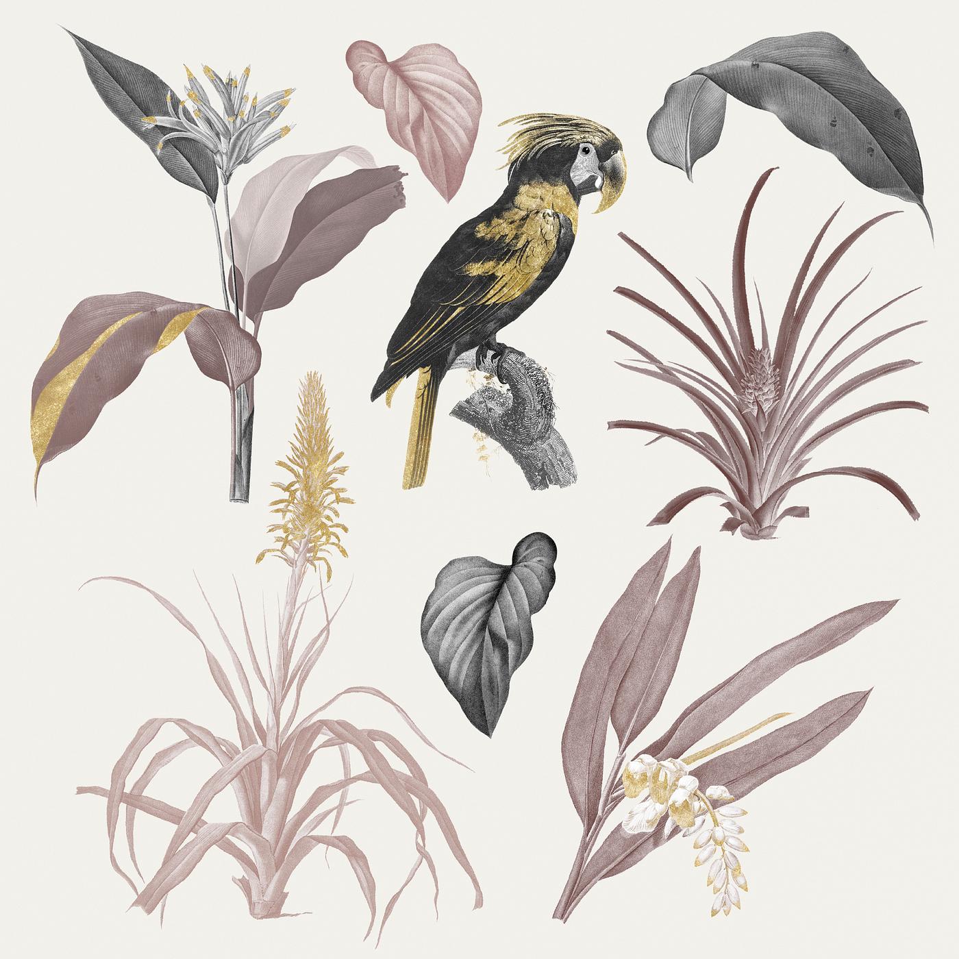 Colorful tropical collection with vintage illustration Colorful tropical collection with vintage illustration