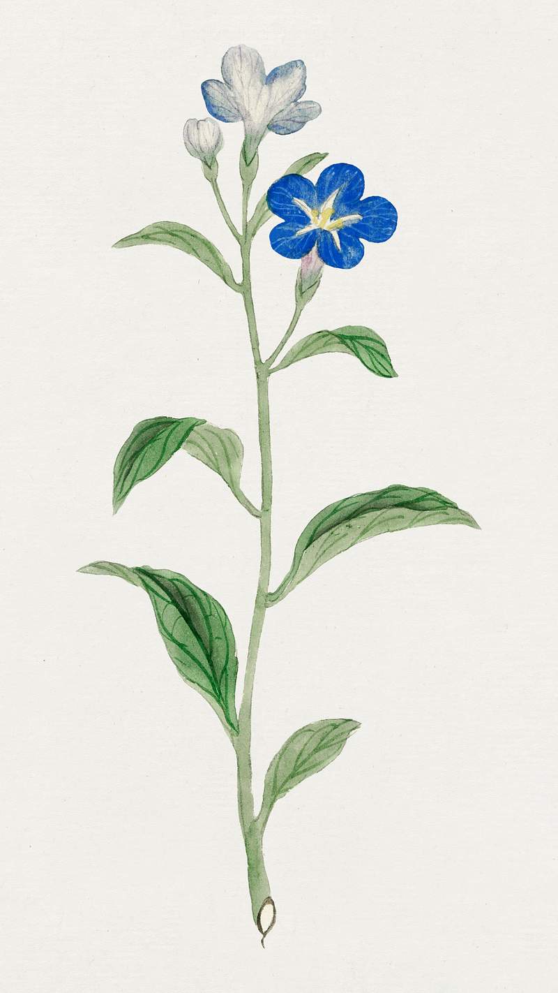 Hotarugusa – April (ca. 1870–1880) painting in high resolution. Original from Library of Congress. Digitally…