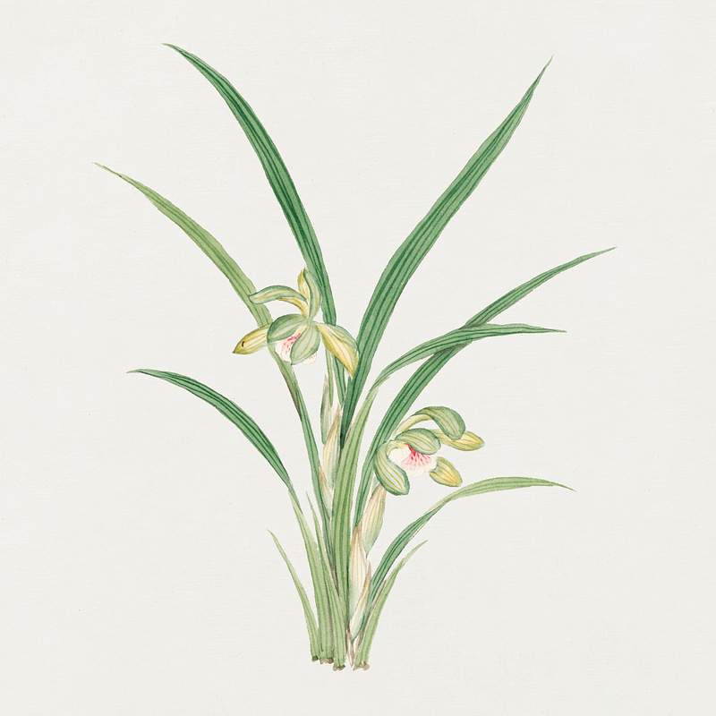 Mirau – March (ca. 1870–1880) painting in high resolution. Original from Library of Congress. Digitally enhanced…