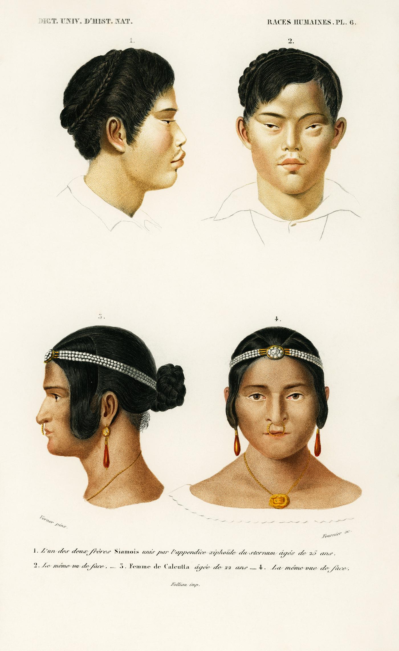 Human race illustrated by Charles Dessalines D' Orbigny (1806-1876). Digitally enhanced from our own 1892 edition of... Human race illustrated by Charles Dessalines D' Orbigny (1806-1876). Digitally enhanced from our own 1892 edition of...
