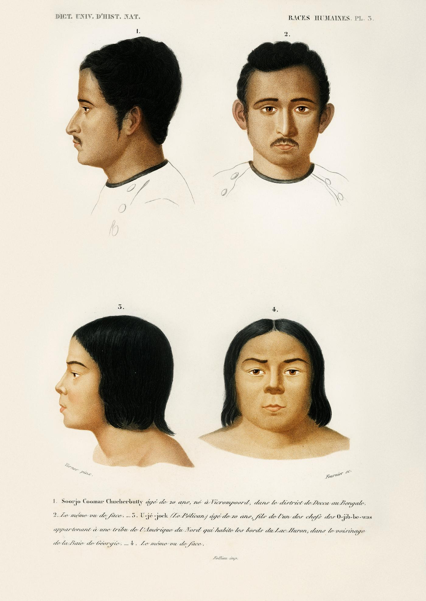 Human race illustrated by Charles Dessalines D' Orbigny (1806-1876). Digitally enhanced from our own 1892 edition of... Human race illustrated by Charles Dessalines D' Orbigny (1806-1876). Digitally enhanced from our own 1892 edition of...