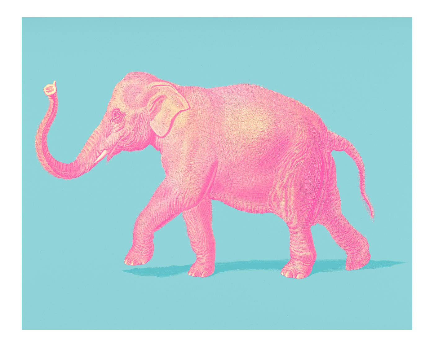 Vintage Illustration of Asiatic elephant (Elephas maximus) Vintage Illustration of Asiatic elephant (Elephas maximus)