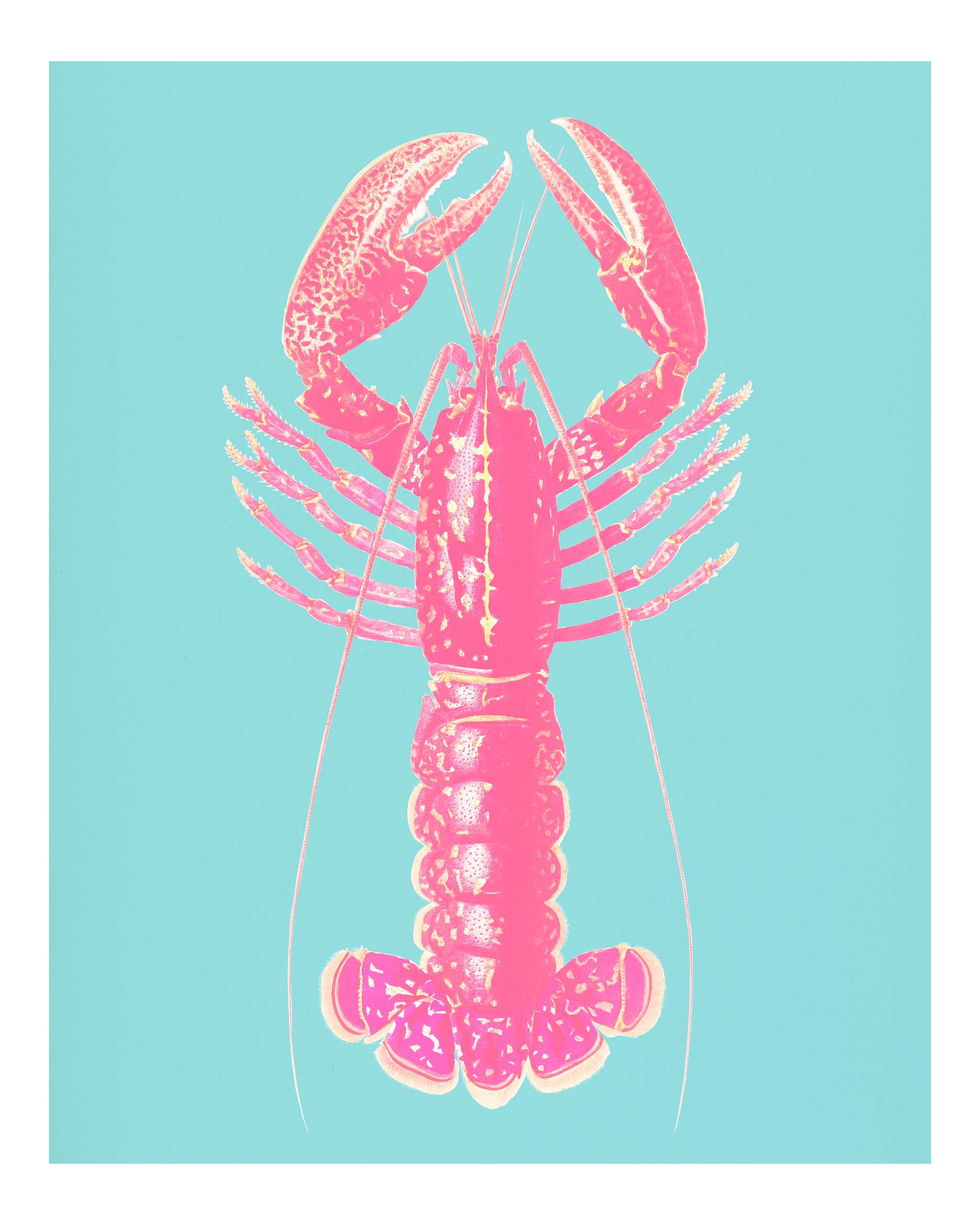 Crimson Crawfish (Palemon Ornatum) illustrated by Charles Dessalines D' Orbigny (1806-1876). Digitally enhanced from our... Crimson Crawfish (Palemon Ornatum) illustrated by Charles Dessalines D' Orbigny (1806-1876). Digitally enhanced from our...