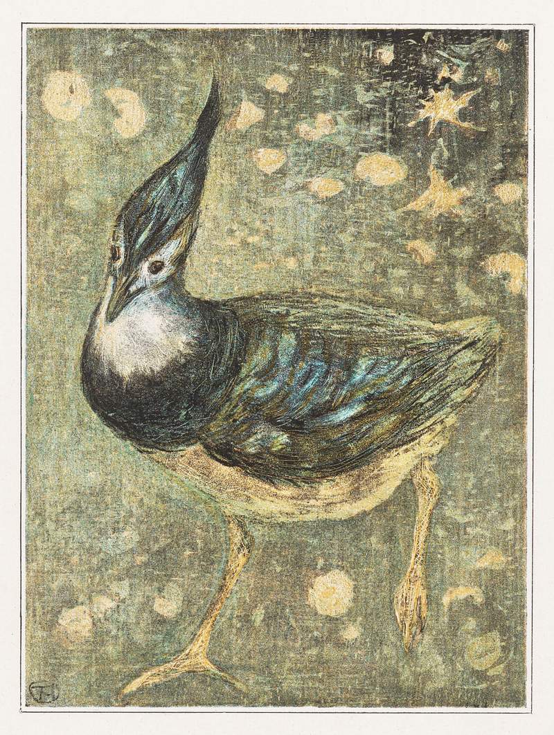 Kievit (1878–1908) print in high resolution by Theo van Hoytema. Original from The Rijksmuseum. Digitally enhanced by…