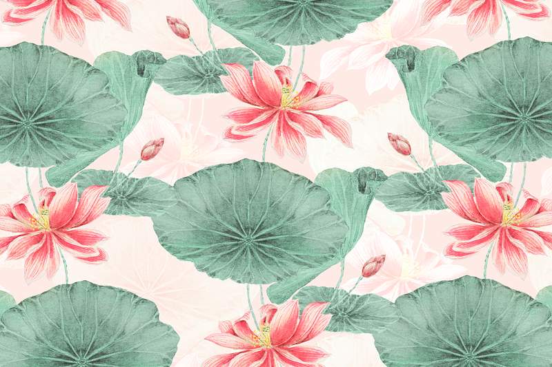 Lotus pattern botanical background psd, remix… | Royalty free stock Illustration | High Resolution graphic Lotus pattern botanical background psd, remix from artworks by Megata Morikaga