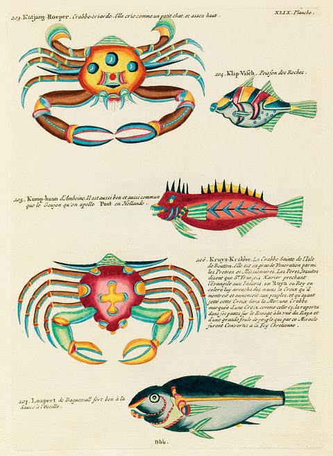 Colourful and surreal illustrations of fishes and crabs found in Moluccas (Indonesia) and the East Indies by Louis Renard (1678 -1746) from Histoire naturelle des plus rares curiositez de la mer des Indes (1754). Colourful and surreal illustrations of fishes and crabs found in Moluccas (Indonesia) and the East Indies by Louis Renard…