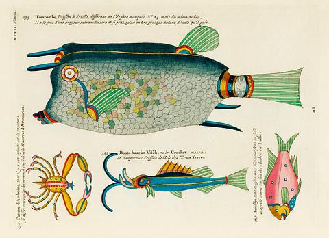 Colourful and surreal illustrations of fishes and crab found in Moluccas (Indonesia) and the East Indies by Louis Renard (1678 -1746) from Histoire naturelle des plus rares curiositez de la mer des Indes (1754). Colourful and surreal illustrations of fishes and crab found in Moluccas (Indonesia) and the East Indies by Louis Renard…