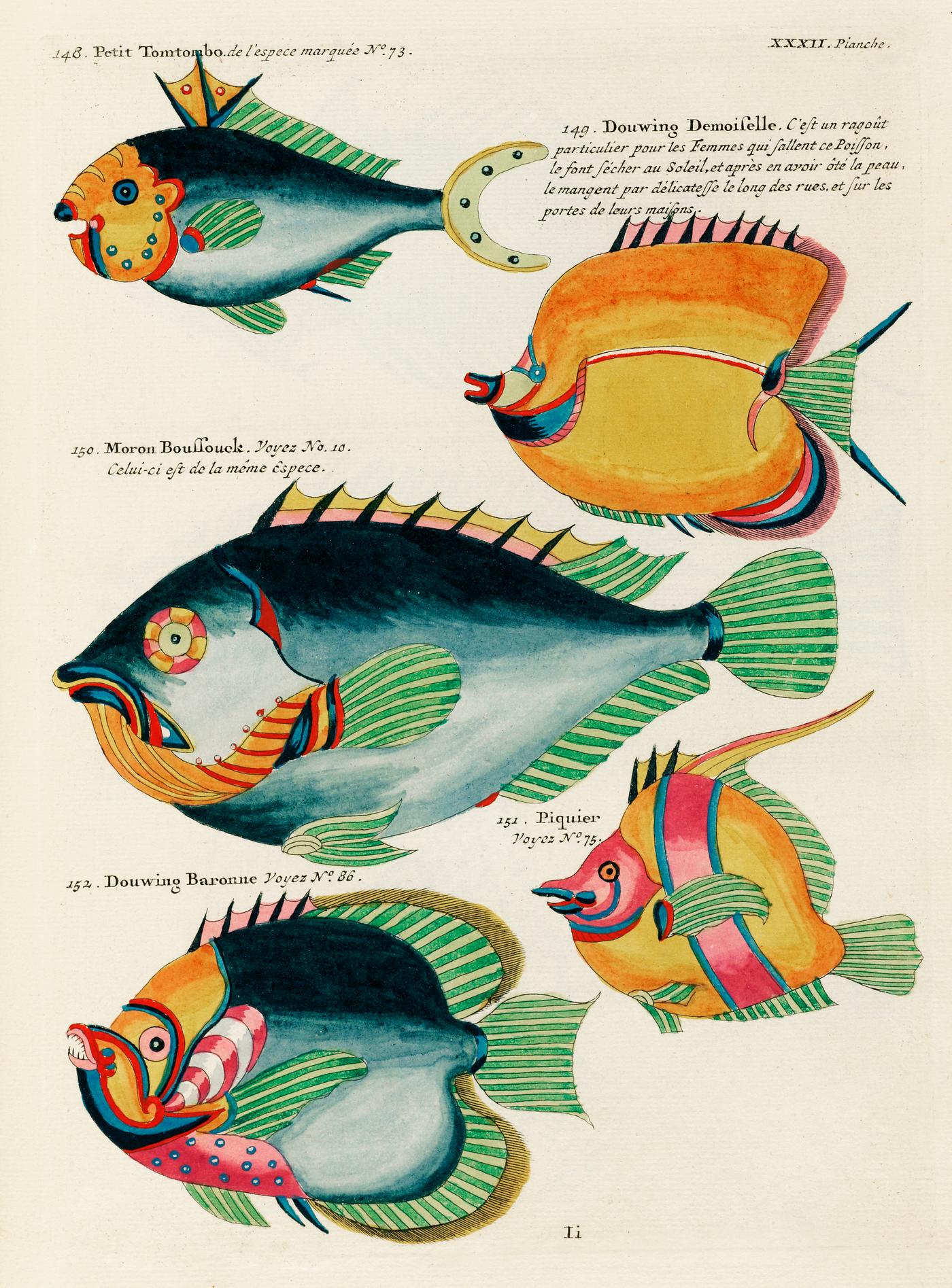 Colourful and surreal illustrations of fishes found in Moluccas (Indonesia) and the East Indies by Louis Renard (1678 -1746... Colourful and surreal illustrations of fishes found in Moluccas (Indonesia) and the East Indies by Louis Renard (1678 -1746...