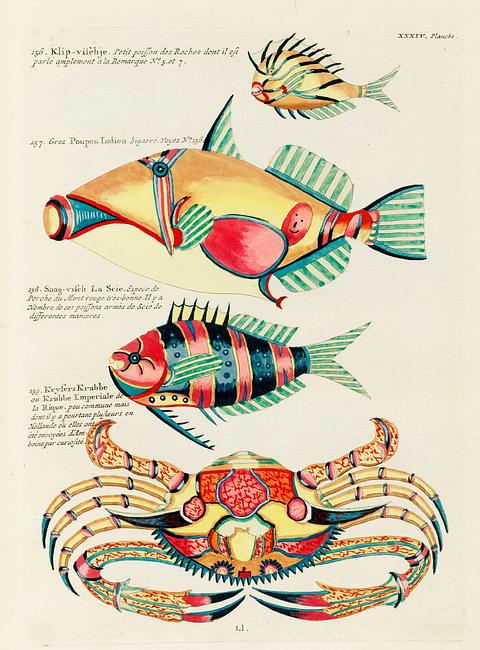 Colourful and surreal illustrations of fishes and crab found in the Indian and Pacific Oceans by Louis Renard (1678 -1746) from Histoire naturelle des plus rares curiositez de la mer des Indes (1754). Colourful and surreal illustrations of fishes and crab found in the Indian and Pacific Oceans by Louis Renard (1678 -1746)…
