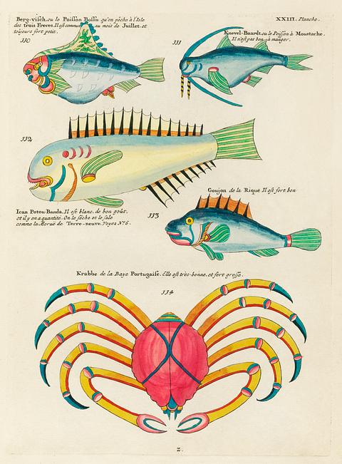 Colourful and surreal illustrations of fishes and crab found in the Indian and Pacific Oceans by Louis Renard (1678 -1746) from Histoire naturelle des plus rares curiositez de la mer des Indes (1754). Colourful and surreal illustrations of fishes and crab found in the Indian and Pacific Oceans by Louis Renard (1678 -1746)…