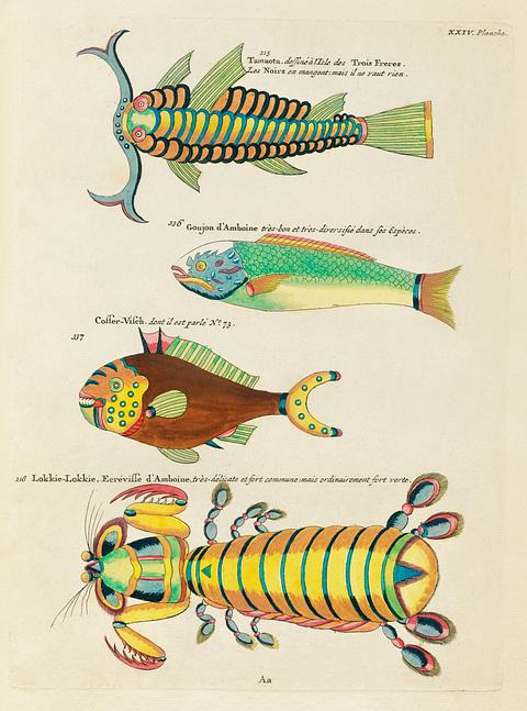 Colourful and surreal illustrations of fishes and other marine life found in Moluccas (Indonesia) and the East Indies by Louis Renard (1678 -1746) from Histoire naturelle des plus rares curiositez de la mer des Indes (1754). Colourful and surreal illustrations of fishes and other marine life found in Moluccas (Indonesia) and the East Indies by…