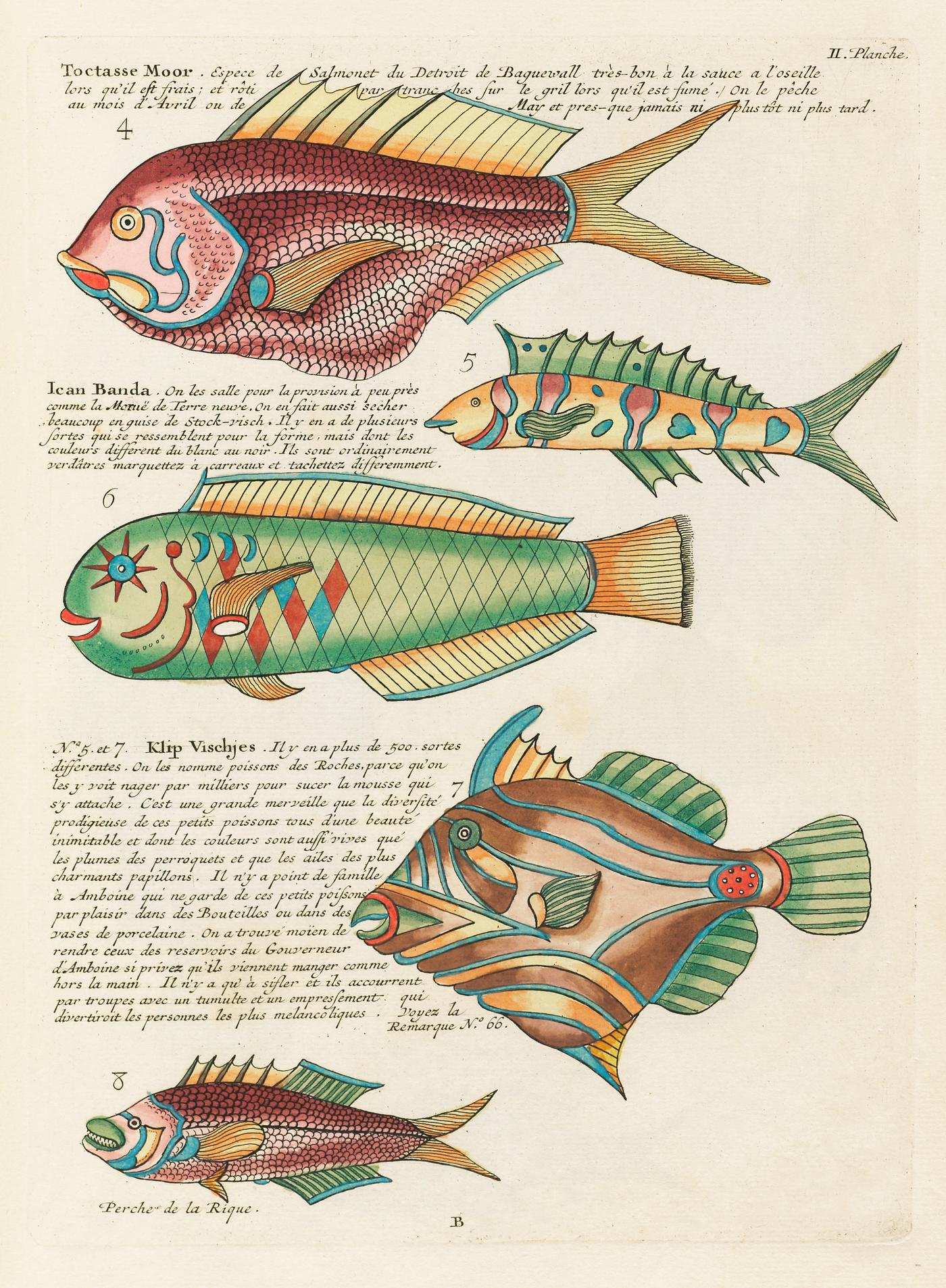 Colourful and surreal illustrations of fishes found in Moluccas (Indonesia) and the East Indies by Louis Renard (1678 -1746... Colourful and surreal illustrations of fishes found in Moluccas (Indonesia) and the East Indies by Louis Renard (1678 -1746...