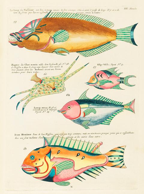 Colourful and surreal illustrations of fishes found in Moluccas (Indonesia) and the East Indies by Louis Renard (1678 -1746) from Histoire naturelle des plus rares curiositez de la mer des Indes (1754). Colourful and surreal illustrations of fishes found in Moluccas (Indonesia) and the East Indies by Louis Renard (1678 -1746)…