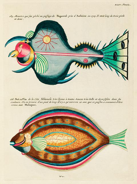 Colourful and surreal illustrations of fishes found in Moluccas (Indonesia) and the East Indies by Louis Renard (1678 -1746) from Histoire naturelle des plus rares curiositez de la mer des Indes (1754). Colourful and surreal illustrations of fishes found in Moluccas (Indonesia) and the East Indies by Louis Renard (1678 -1746)…