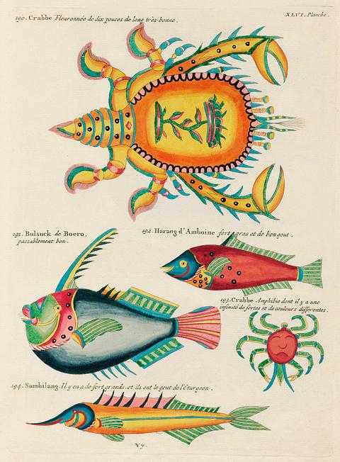 Colourful and surreal illustrations of fishes and crabs found in the Indian and Pacific Oceans by Louis Renard (1678 -1746) from Histoire naturelle des plus rares curiositez de la mer des Indes (1754). Colourful and surreal illustrations of fishes and crabs found in the Indian and Pacific Oceans by Louis Renard (1678 -1746)…