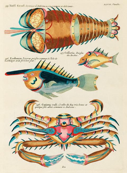 Colourful and surreal illustrations of fishes, lobster and crab found in the Indian and Pacific Oceans by Louis Renard (1678 -1746) from Histoire naturelle des plus rares curiositez de la mer des Indes (1754). Colourful and surreal illustrations of fishes, lobster and crab found in the Indian and Pacific Oceans by Louis Renard (1678 …
