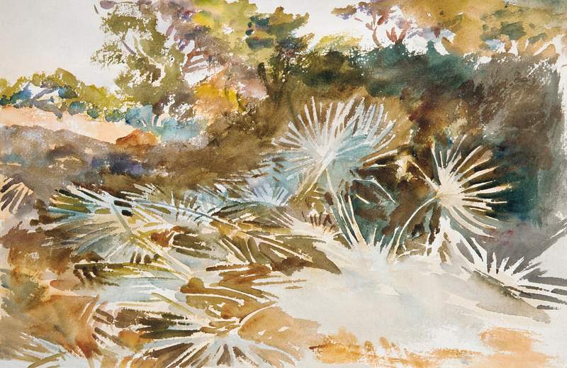 Landscape with Palmettos (1917) by John Singer Sargent. Original from The MET Museum. Digitally enhanced by rawpixel.
