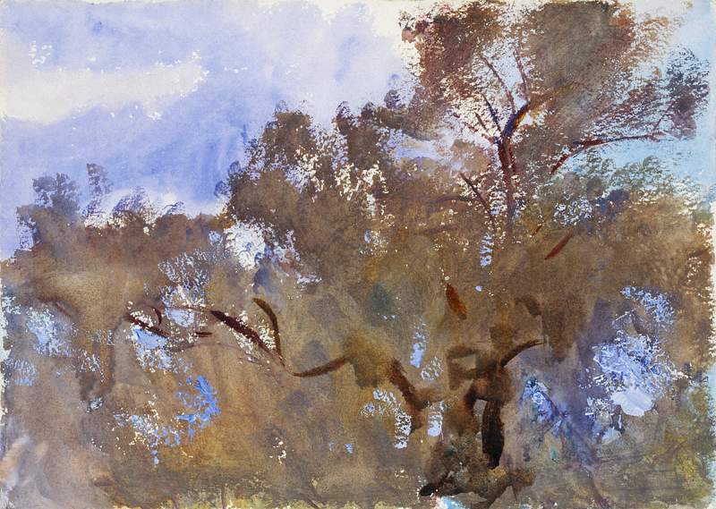 Treetops against Sky (ca. 1909–1913) by John Singer Sargent. Original from The MET Museum. Digitally enhanced by…