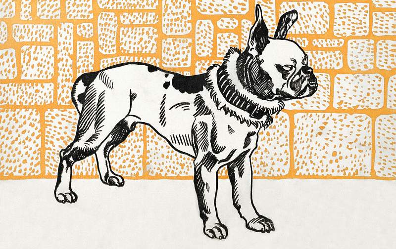 Pitbull Terrier (1912) print in high resolution by Moriz Jung. Original from the MET Museum. Digitally enhanced by rawpixel.