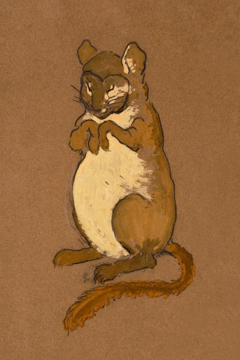 Dormouse (1915) Costume Design for Alice in… | Free public domain illustration Dormouse (1915) Costume Design for Alice in Wonderland in high resolution by William Penhallow Henderson. Original from The…
