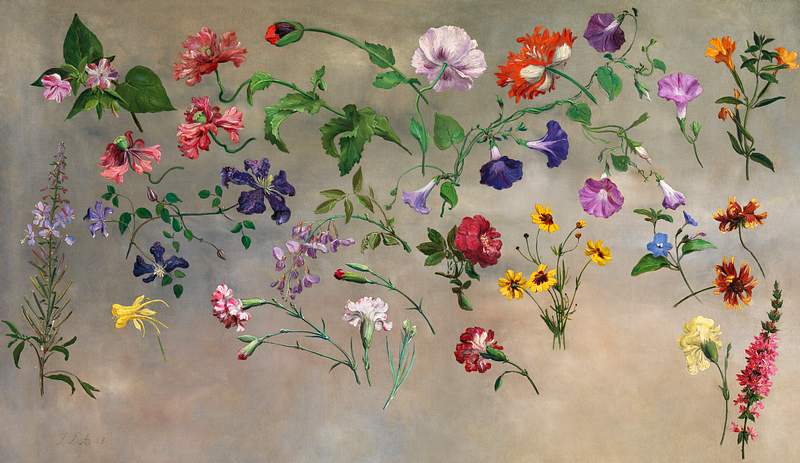 Flower Images Free Hd Backgrounds Pngs Vector Graphics Illustrations Templates Rawpixel Flower Images Free Hd Backgrounds Pngs Vector Graphics Illustrations Templates Rawpixel