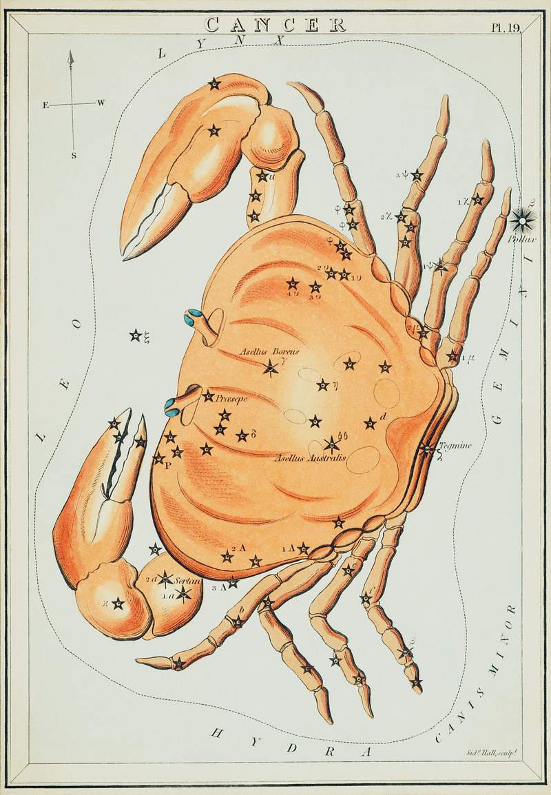 Sidney Hall’s (?-1831) astronomical… | Free public domain illustration Sidney Hall’s (?-1831) astronomical chart illustration of the cancer zodiac. A crab forming a constellation. Original…