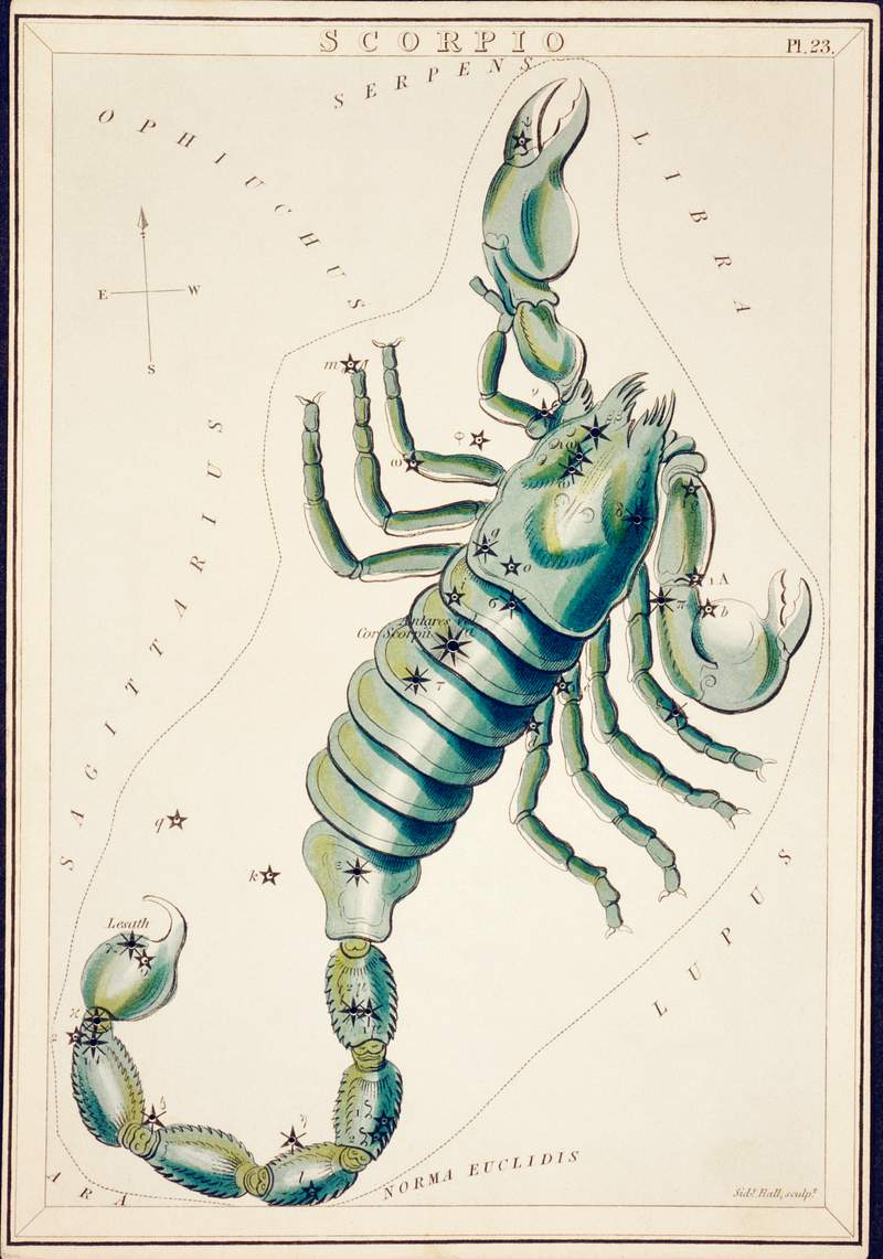 Sidney Hall’s (?-1831) astronomical chart illustration of the Scorpio. Original from Library of Congress. Digitally enhanced by rawpixel. Sidney Hall’s (?-1831) astronomical chart illustration of the Scorpio. Original from Library of Congress. Digitally…