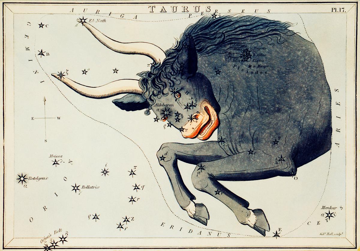 Sidney Hall’s (?-1831) astronomical… | Free public domain illustration Sidney Hall’s (?-1831) astronomical chart illustration of the Taurus. Original from Library of Congress. Digitally…