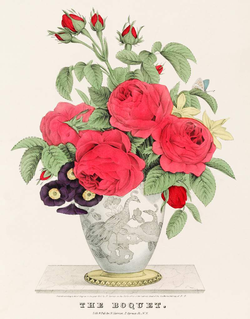 The Boquet by N. Currier. Original from Library of Congress. Digitally enhanced by rawpixel.