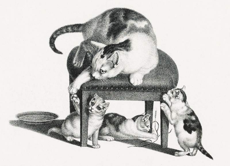Cute vintage cats | Free public domain illustration Illustration of domestic cat on a stool and three playful kittens by Gottfried Mind (1768-1814). Original from Library of…