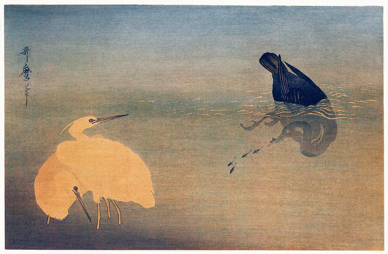U to Shirasagi by Utamaro Kitagawa (1753-1806), a traditional Japanese ukiyo-e style illustration of a cormorant catching…