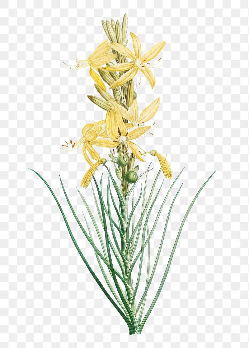 Search Free Stock Photos Psd Mockups Vectors Rawpixel