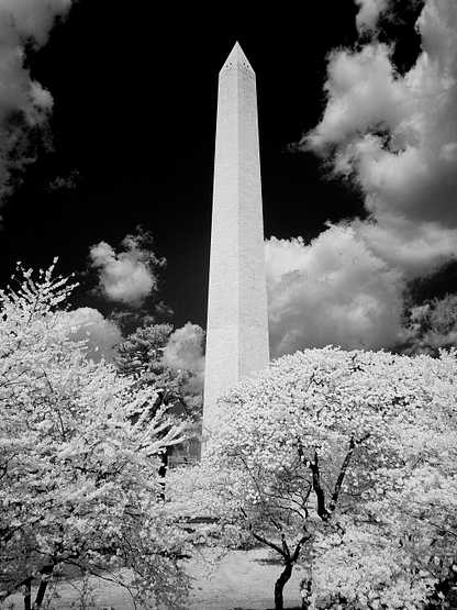 Washington Monument, Washington D.C. Original image from Carol M. Highsmith’s America, Library of Congress collection. Digitally enhanced by rawpixel Washington Monument, Washington D.C. Original image from Carol M. Highsmith’s America, Library of Congress collection.…